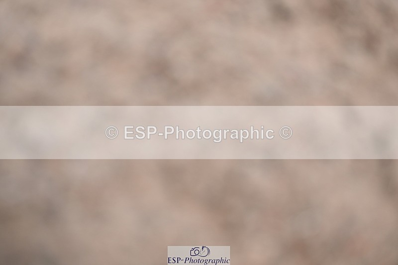 240622A-125859-10626 - Cls 37 BD Music Adv Medium