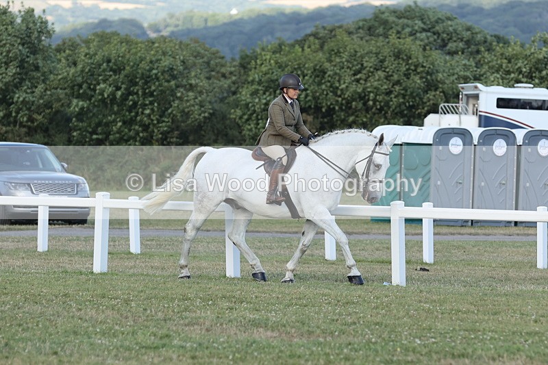 JPP_3508 - Class 22: Working Hunter 90cm