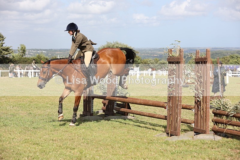 JPP_2621 - Class 20: Working Hunter 70cm