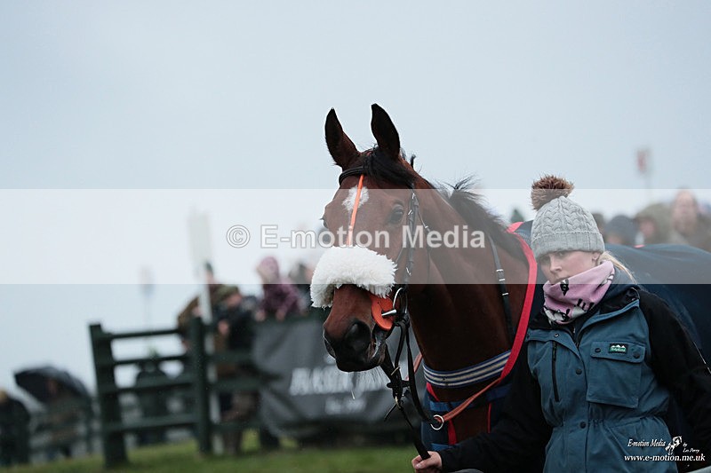 PtP 100324 753 - Pytchley with Woodland Point-to-Point Guilsborough 10/03/24