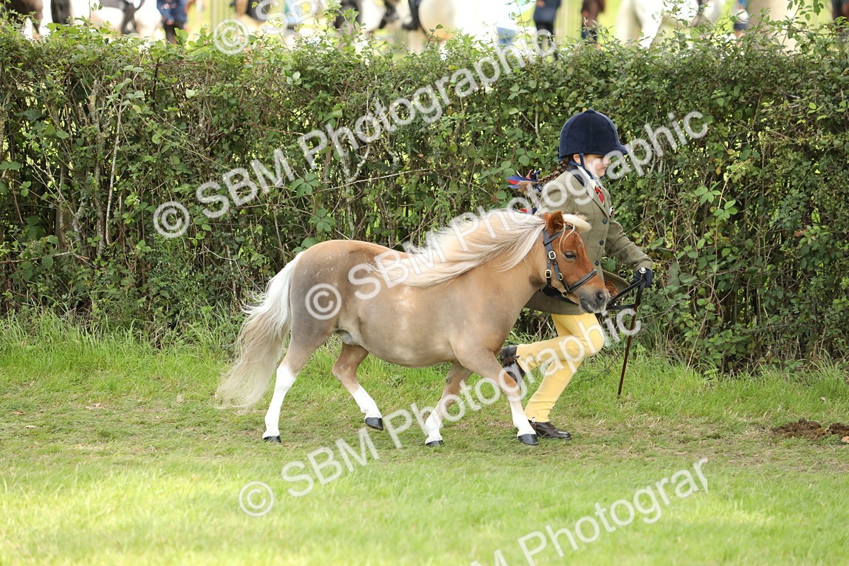 SBM_67731 - S39 - Junior Handler 8  Years & Under