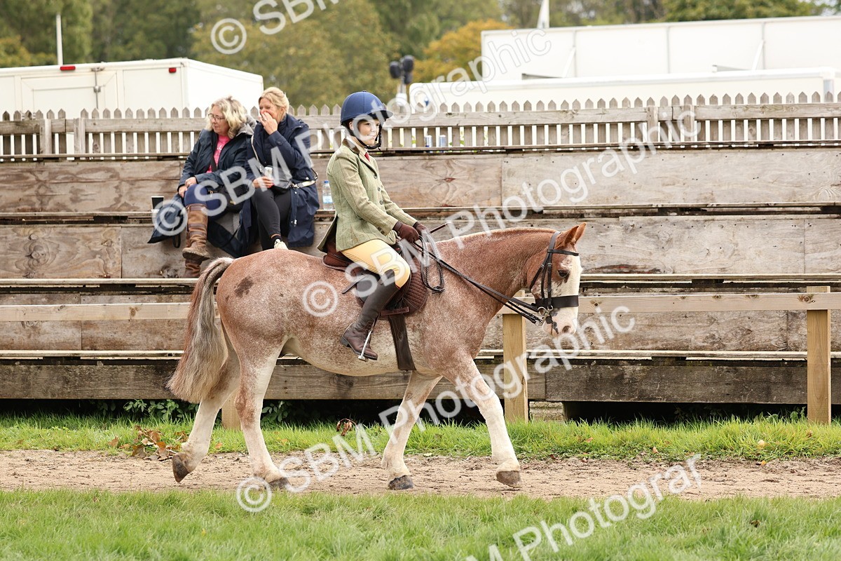 SBM_64365 - S58 - Coloured Pony Ridden