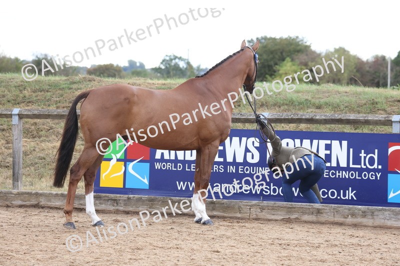 20260831-1945 - Class 5 - Retraining of Racehorses