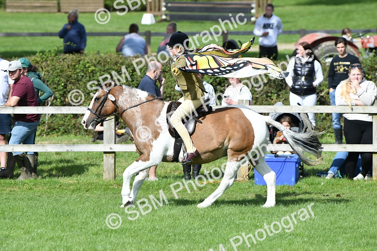 SBM_47111 - S12 - Family Horse & Pony