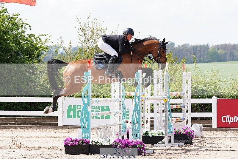 250425-133304-10032 - Cls 34 Young Horse 7yr old