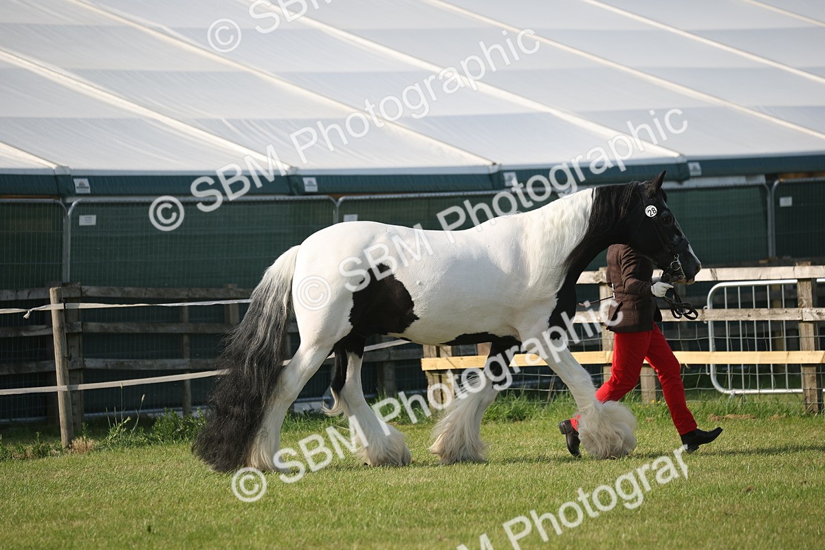 SBM_10546 - Class 33-38 - SSADL RIHS Qualifiers