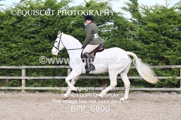 BPP_6890 - RING 1  (RIDDEN HORSES / IN HAND / VETERAN ETC)