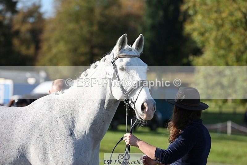 241027-095339-15565 - 321-Hannah.Underhill-DONBEG.GREY