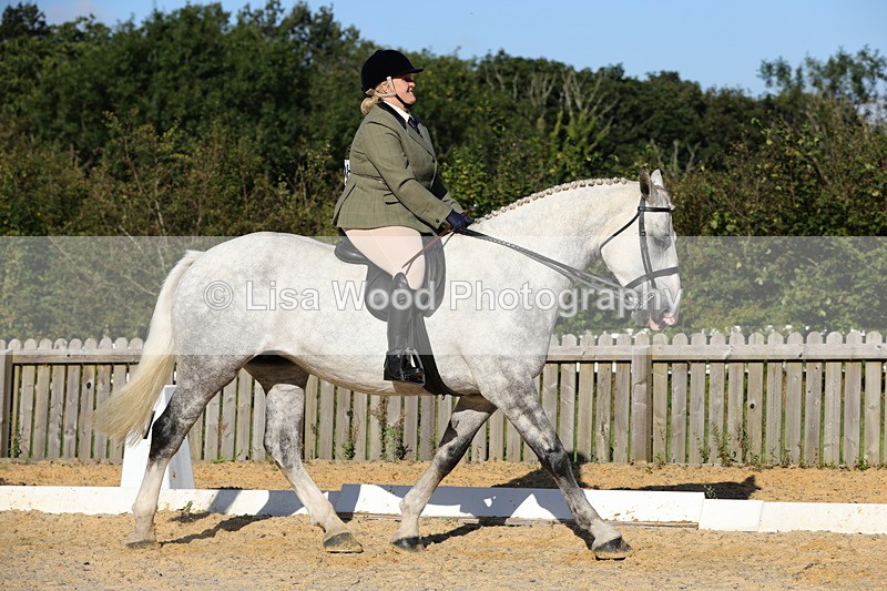 1X9A7547 - Class 7: Novice Ridden Hunter/Hack/Cob/Riding Horse