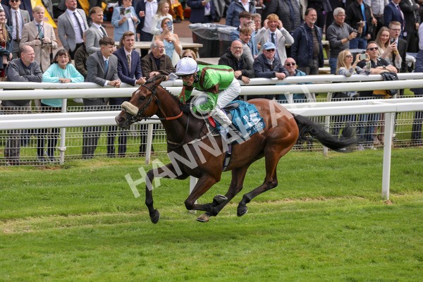 140624-Race 1-Tolstoy-5508 - Race 1 1.50pm Andy Thornton Hospitality Furniture Apprentice Handicap