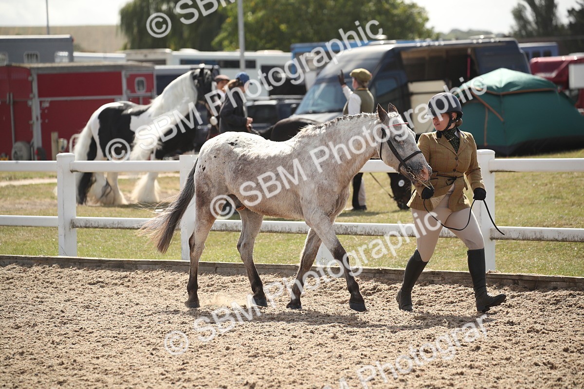 SBM_23394 - Class 604 - 2026 - Area IH Diamond