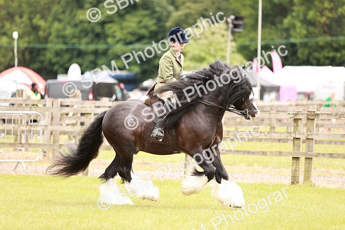 SBM_06224 - Class 39-41 TGCA In Hand and Ridden
