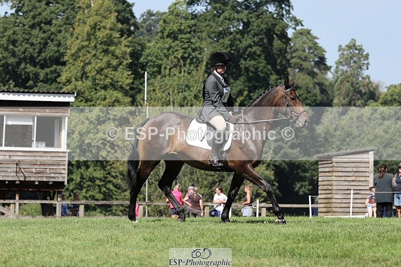 250823A-111041-27885 - Arena D