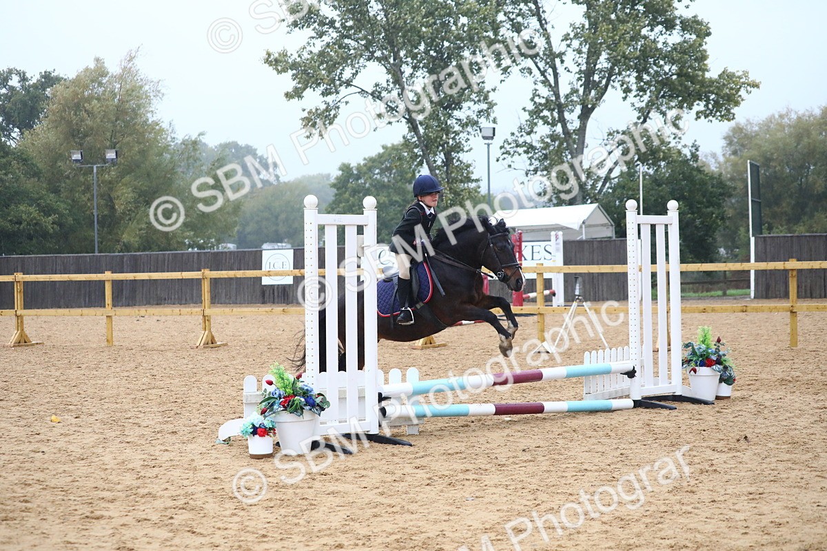 SBM_71795 - J4 - Mini Tour Junior Pony 45cm Championship