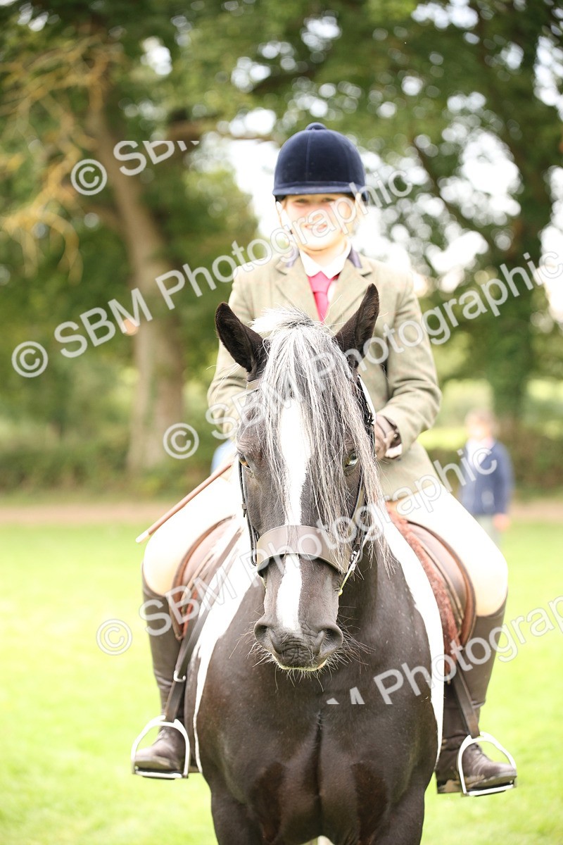 SBM_73492 - S68 - Traditional Cob Ridden