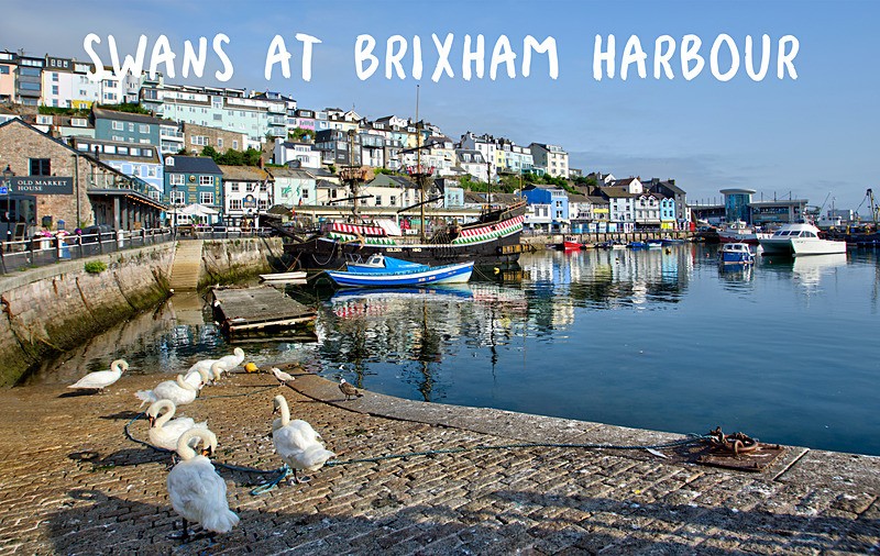 NEW - Brixham Harbour - FRIDGE MAGNETS