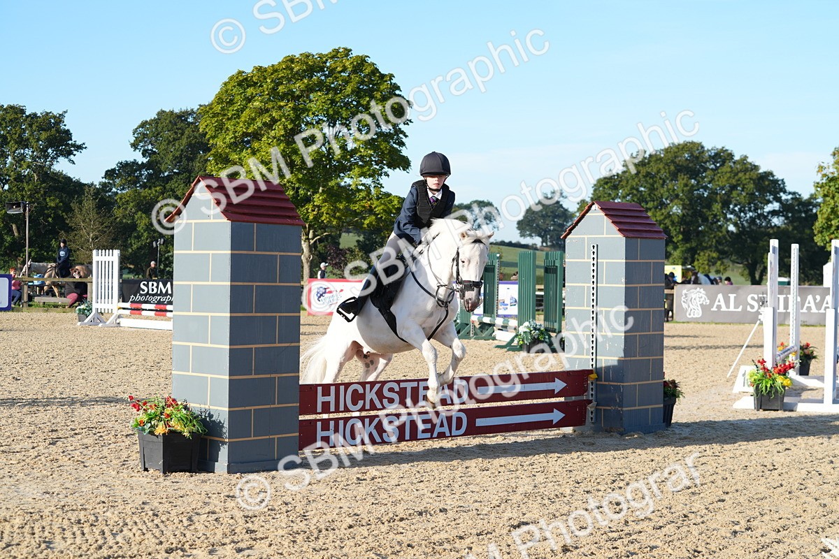 SBM_34334 - J62 - Clear Round 50cm