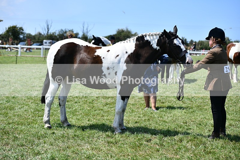 DSC_7734 - Class 64: Coloured Pony 4yrs & over