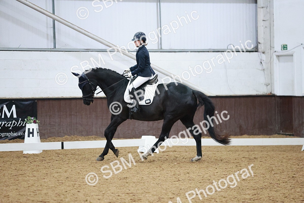 SBM_004707 - Ring 3 - International -  Working Hunter Classes 23-2-25