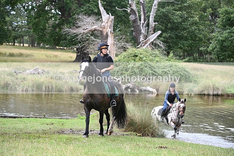 WJ7_3415 - Time at Water 12:15 to 12:50