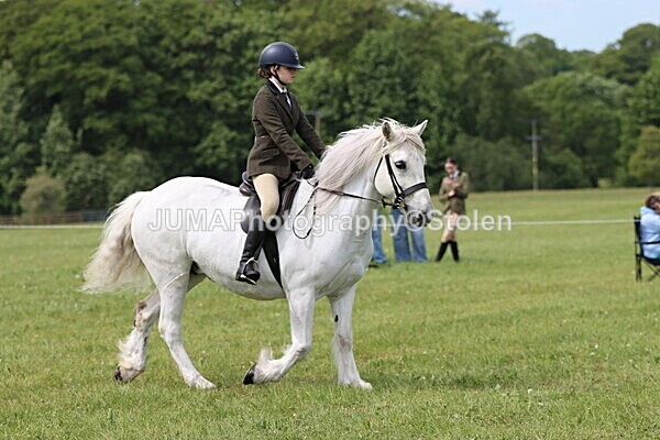 IMG_2695 - Working Hunter