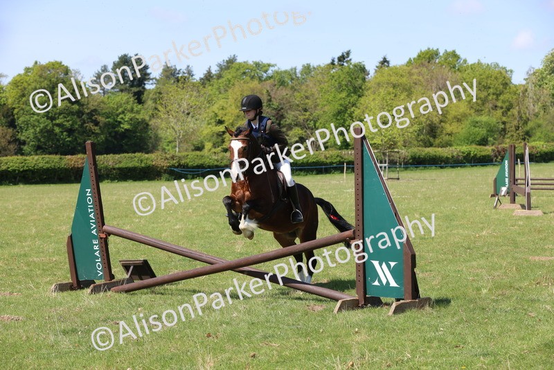 20250427-2557 - Class 20 - Working Hunter Ponies