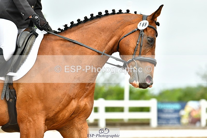 230708A-094952-02233 - Prelim 13