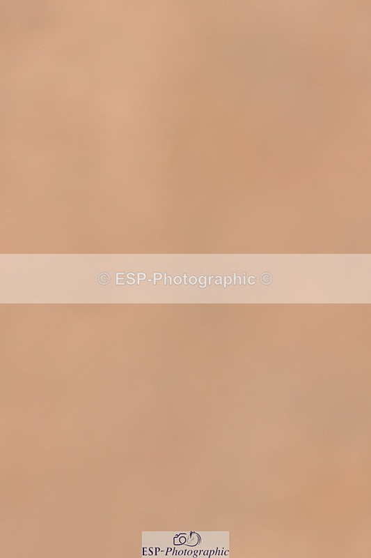 240121A-121234-00726 - Cls 7+8 Elementary 45 and 59