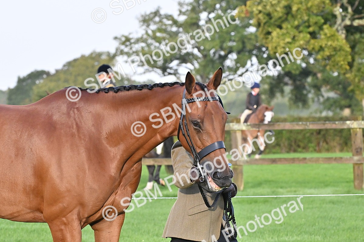 SBM_32563 - S15 - Top Turnout In Hand