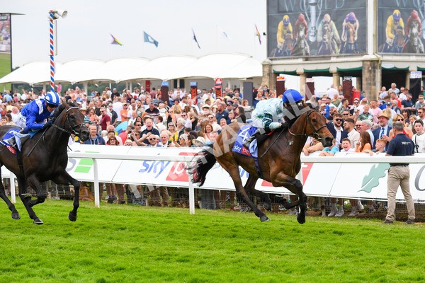 170623-Race 3-Quickthorn-0467 - Race 3 3.05pm Sky Bet Race To The Ebor Grand Cup Stakes
