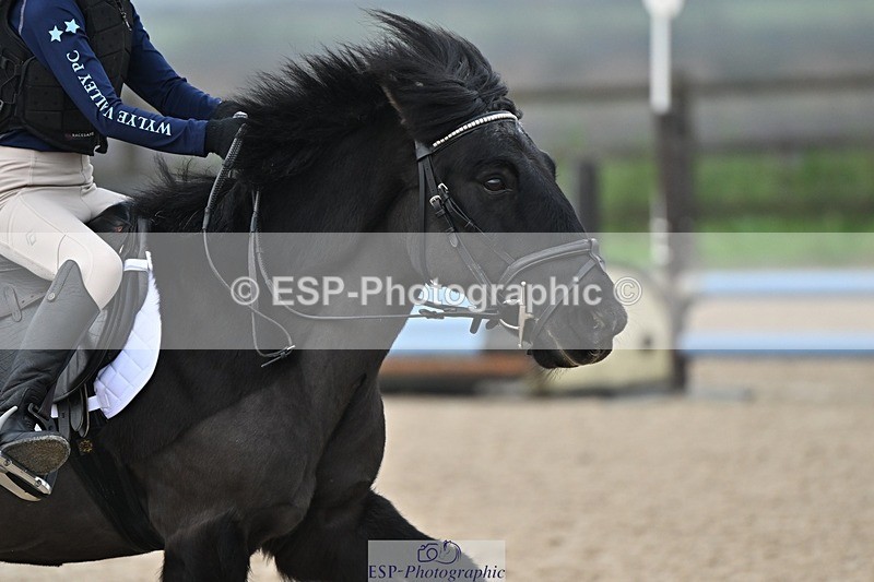 241110-101621-00235 - 40cm Showjumping