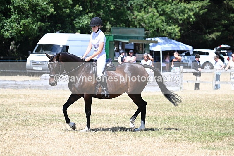 WJ7_3517 - Class 8 Ridden Veterans