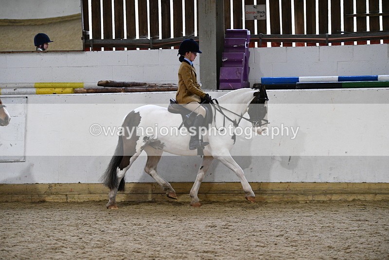 WJ5_7172 - Class 11 Ridden PC - RC Pony