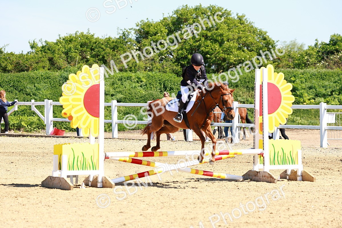 SBM_007510 - Class 3 - 60cm