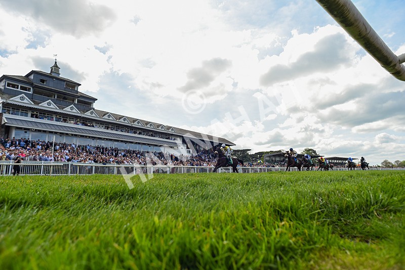 020526-Race 1-Arapaho Gold-1655 - Race 1 1.35pm Steve Poskitt's 60th Birthday Restricted Maiden Stakes