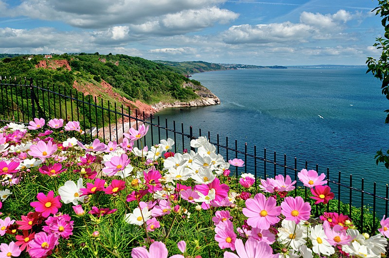 TQ185 - Beautiful flower beds on Babbacombe Downs - Greetings Cards Torquay (Separate galleries for Cockington plus Meadfoot and Ansteys)