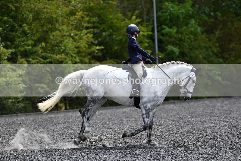 WJ5_1177 - Time 13:45 to 14:20