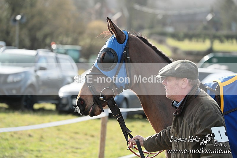 PtP 220225 611 - Kimblewick Point-to-Point  Kingston Blount 22/02/25