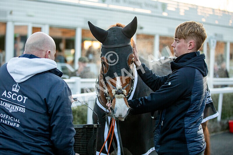 221124-Race 7-Kids Say Lastgojoe-8758 - Race 7