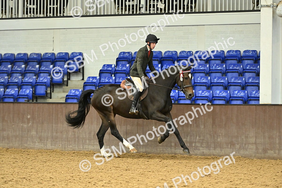 SBM_002073 - Class 23 - BSHA Ridden Show Hunter