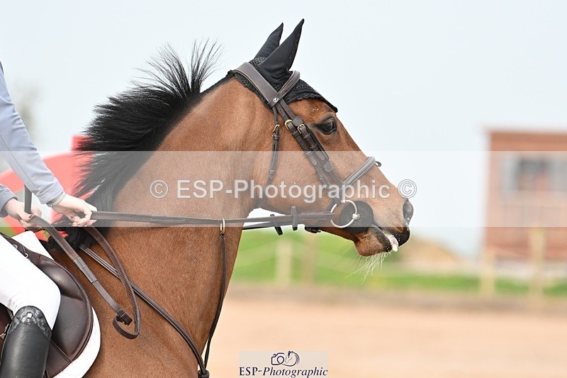 250426-083443-11354 - Cls 43 Ponies - Mini Tour