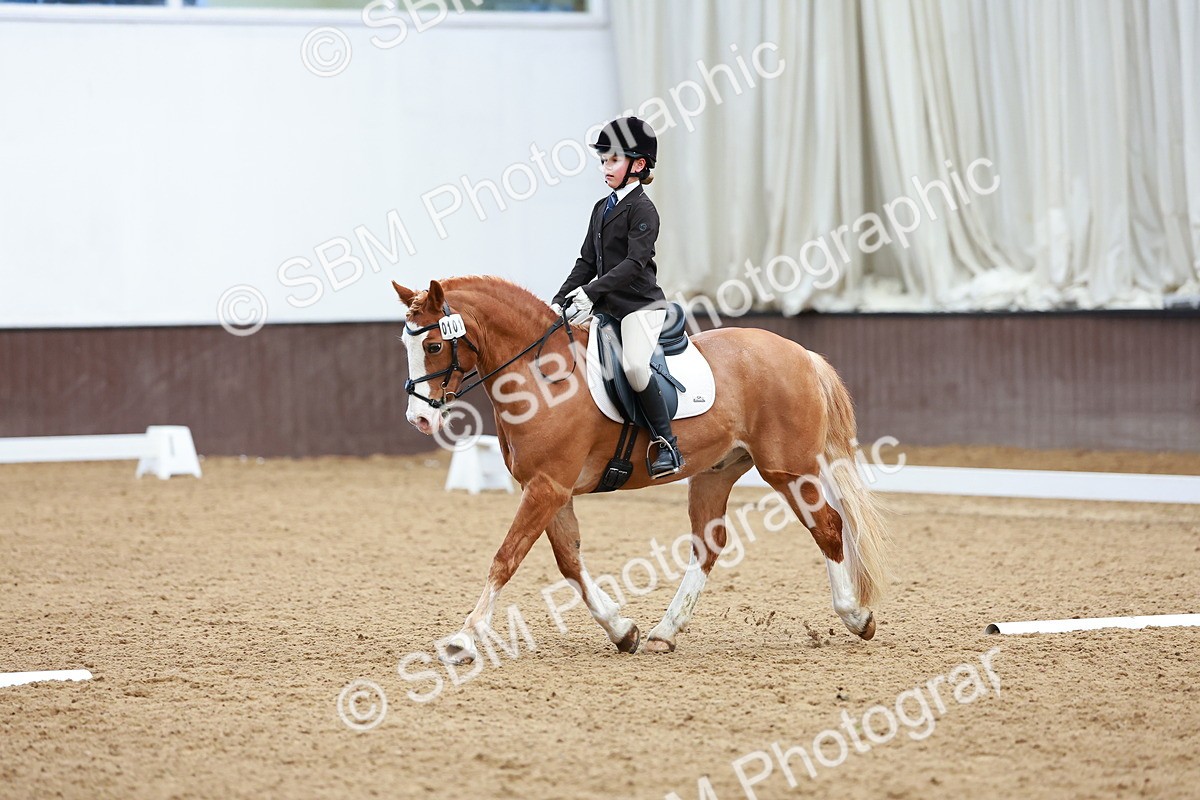 SBM_002271 - Class 10 - Prelim 2 - 13.15-15.00