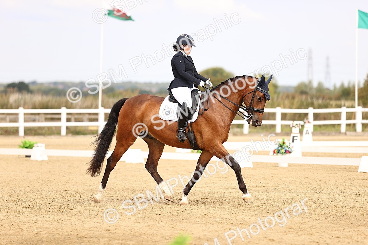 SBM_012886 - Class 2 - Advanced Medium 5 - 10.35-11.55