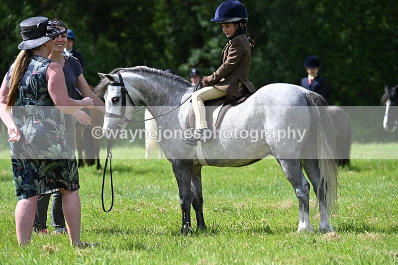 WJ7_1494 - Class 11 Condition & Turnout