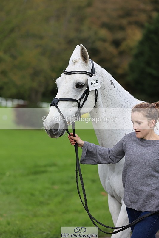 251026A-105359-23360 - G-568-Naomi.Williams