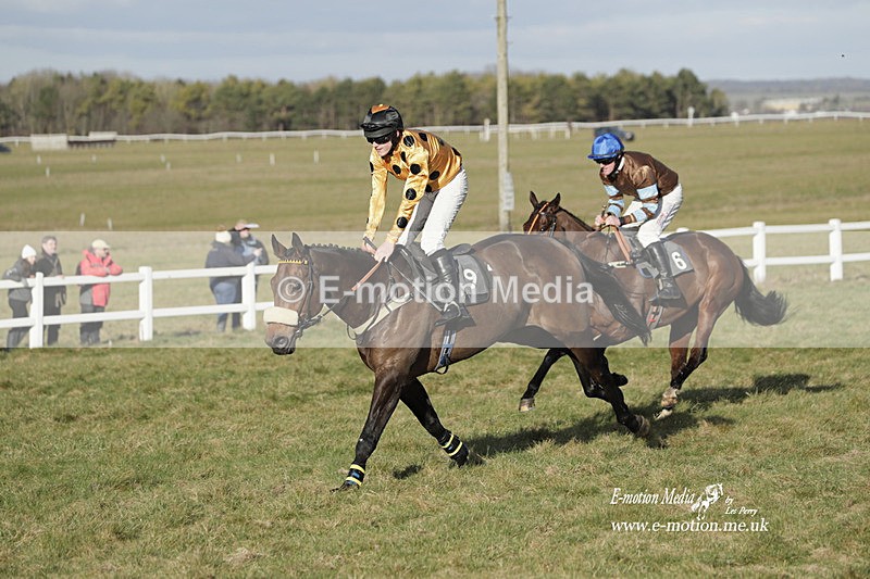 PtP 260223 1247 - South & West Wilts Point-to-Point Larkhill 26/02/23