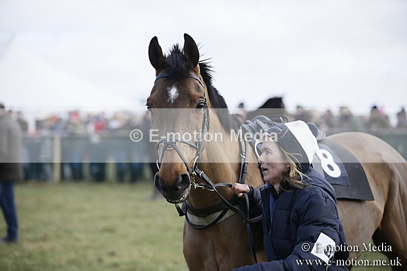PtP 040218 67 - Point-to-Point Milborne St Andrew 04/02/18