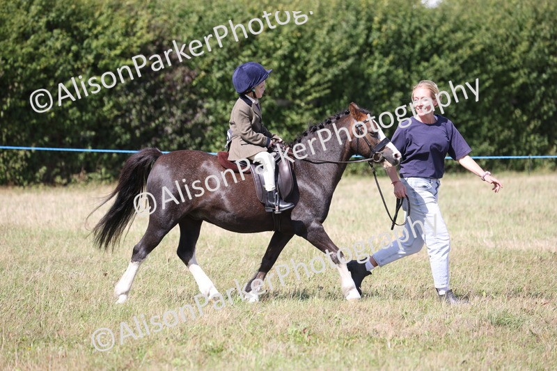20260906-2818 - Class 25 - Absolute Beginners Pony