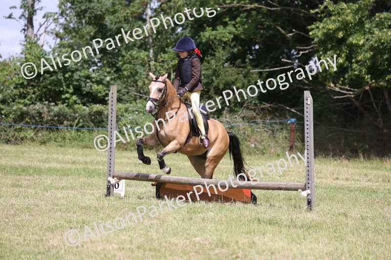 20260614-1892 - Class 21 - Novice Working Hunter Pony