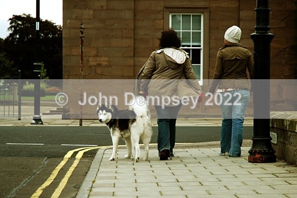 See You Later - Walking the Dog